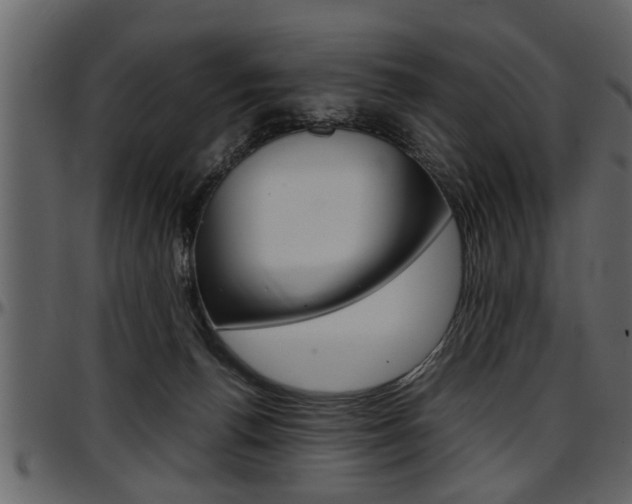 X0000097600176200802290740