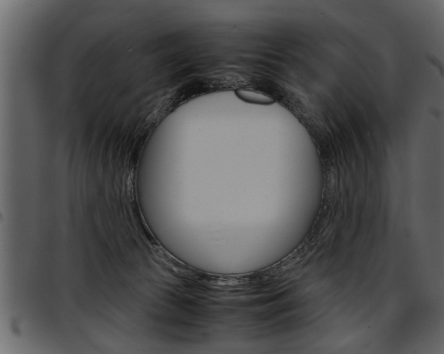 X0000097600177200802290740