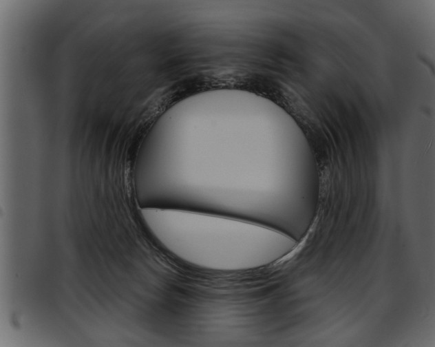 X0000097600178200802290740