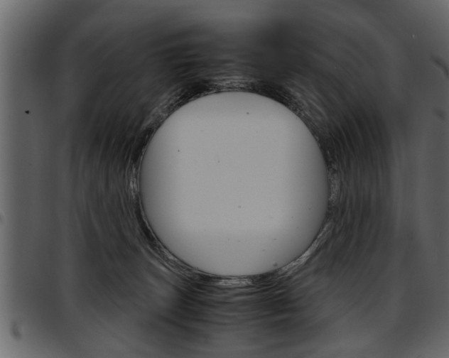 X0000097600179200802290740