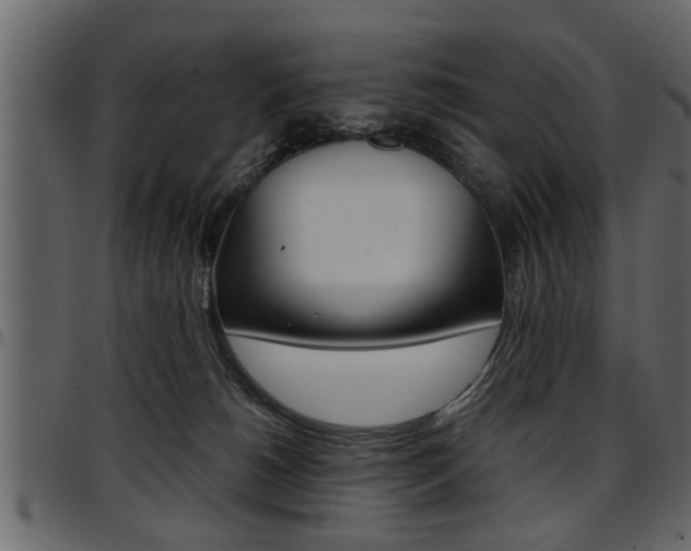 X0000097600180200802290740