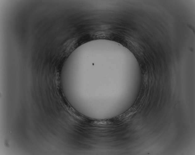 X0000097600181200802290740