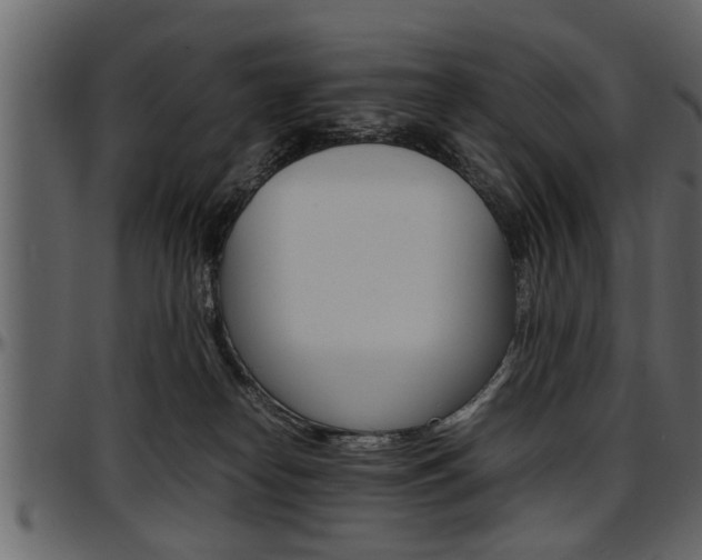 X0000097600182200802290740