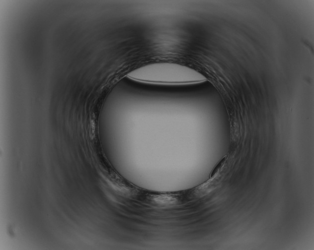 X0000097600183200802290741