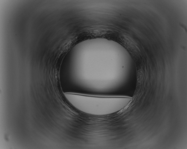 X0000097600184200802290741