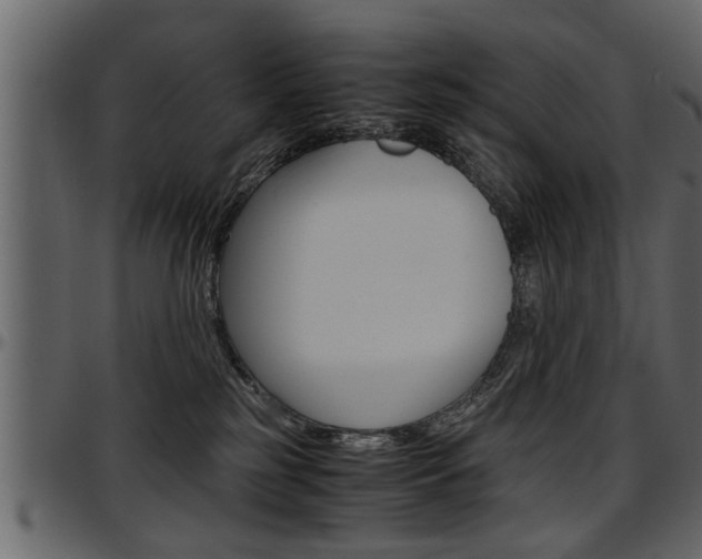 X0000097600185200802290741