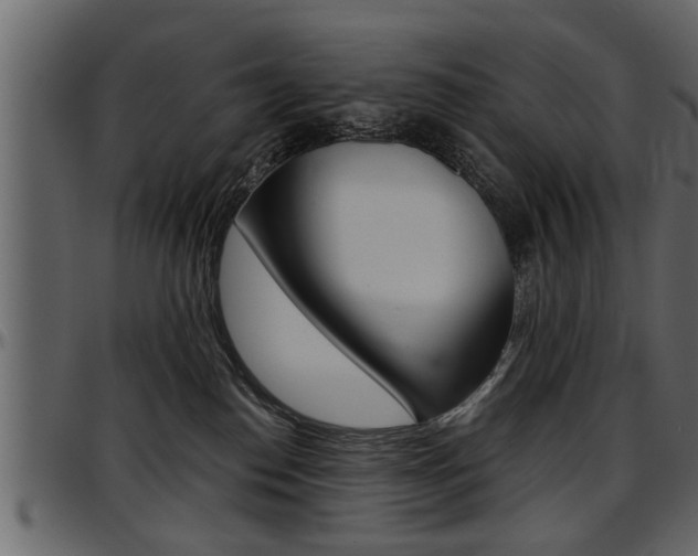 X0000097600186200802290741