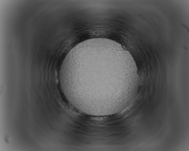 X0000097600187200802290741