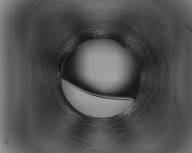 X0000097600188200802290741