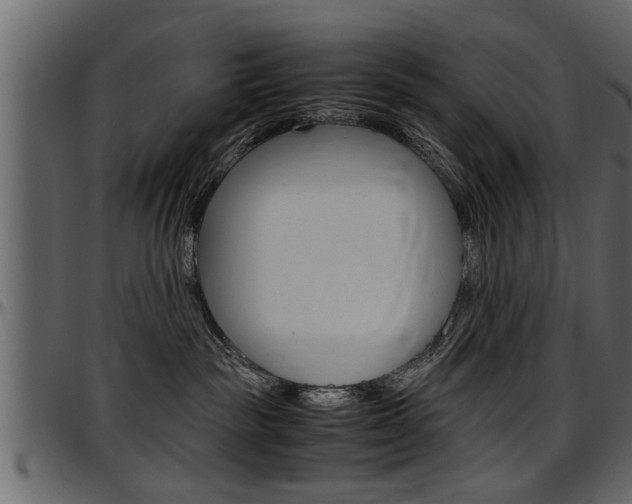 X0000097600189200802290741