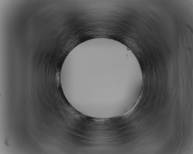 X0000097600190200802290741
