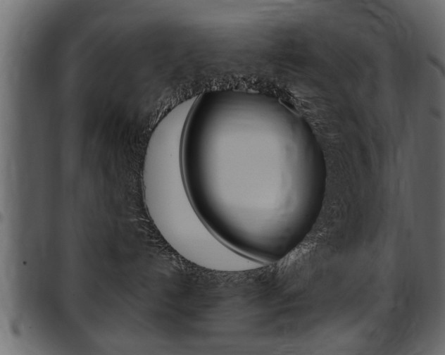 X0000097600192200802290741