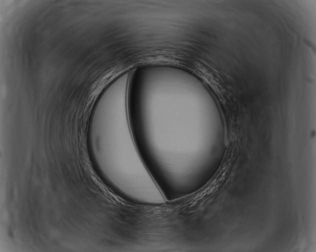 X0000097600193200802290740