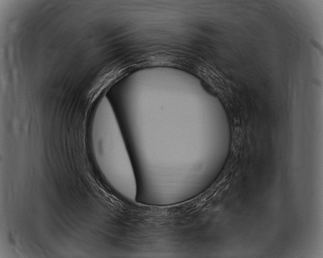 X0000097600194200802290740