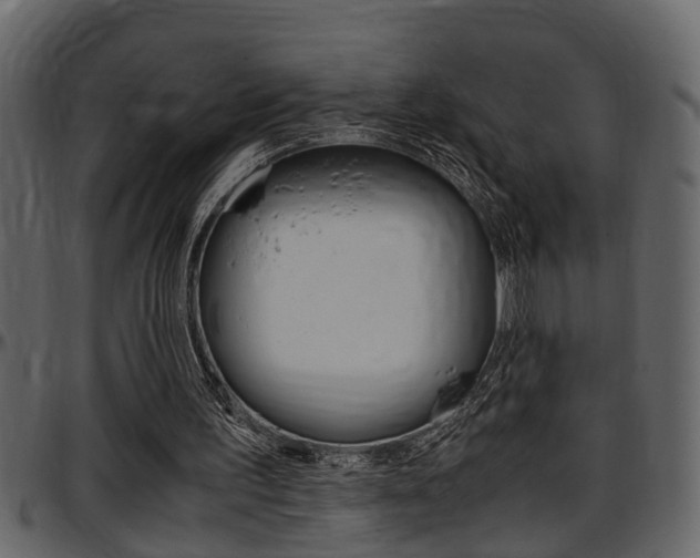 X0000097600195200802290740