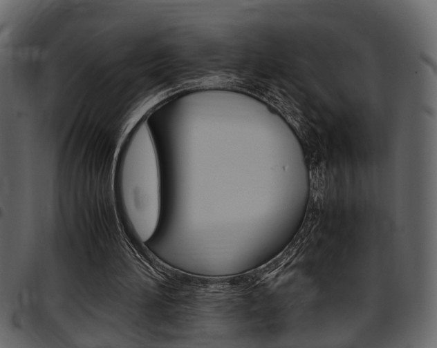 X0000097600196200802290740