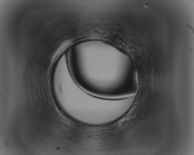 X0000097600197200802290740