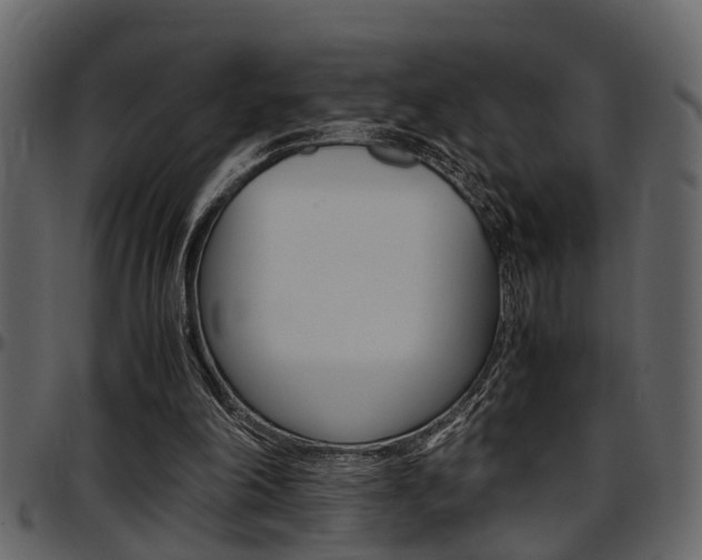 X0000097600198200802290740