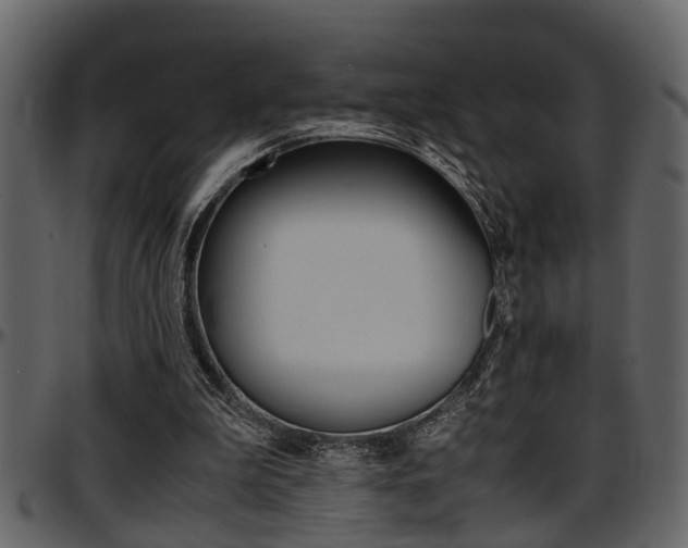 X0000097600199200802290740