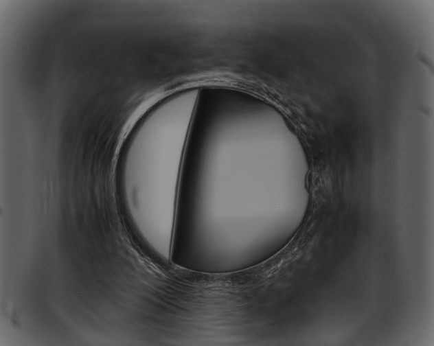 X0000097600200200802290740