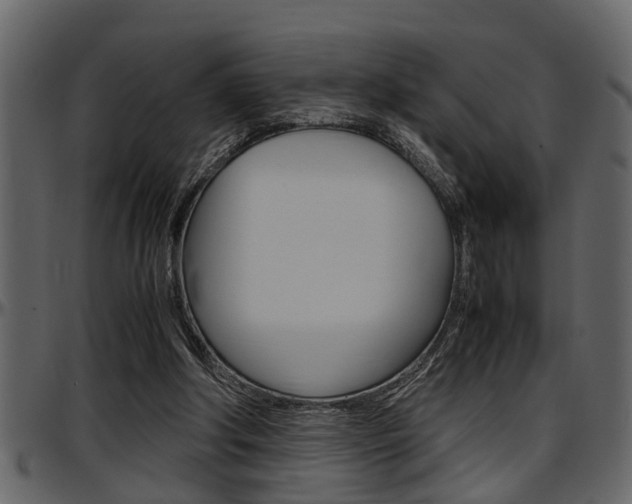 X0000097600202200802290740