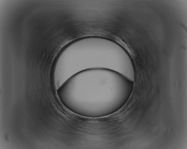 X0000097600203200802290740