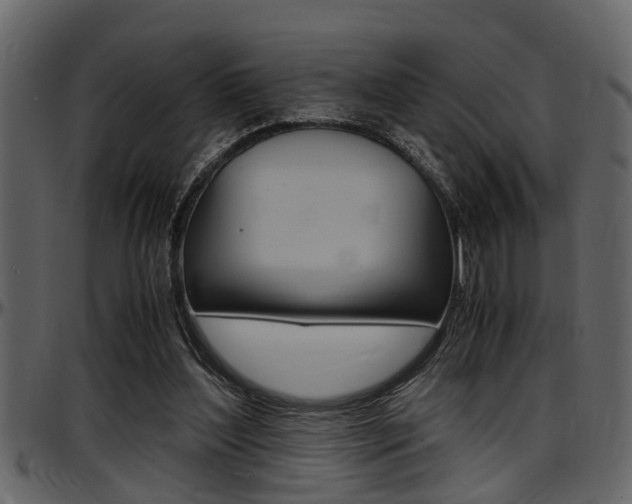 X0000097600204200802290740