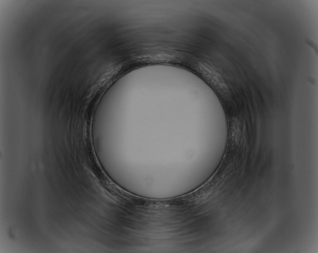 X0000097600206200802290740