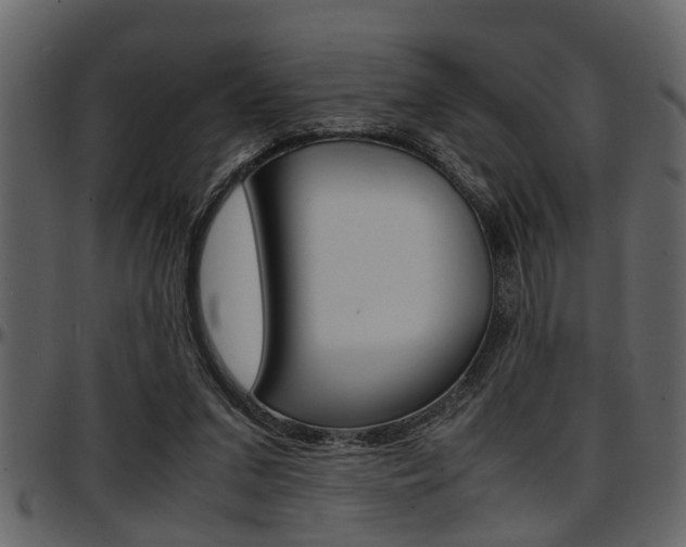 X0000097600207200802290740