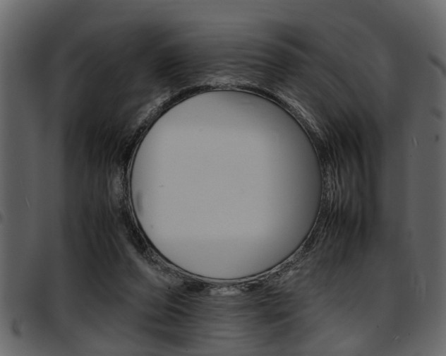 X0000097600208200802290740