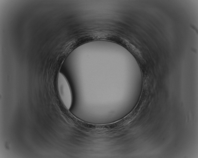 X0000097600209200802290740
