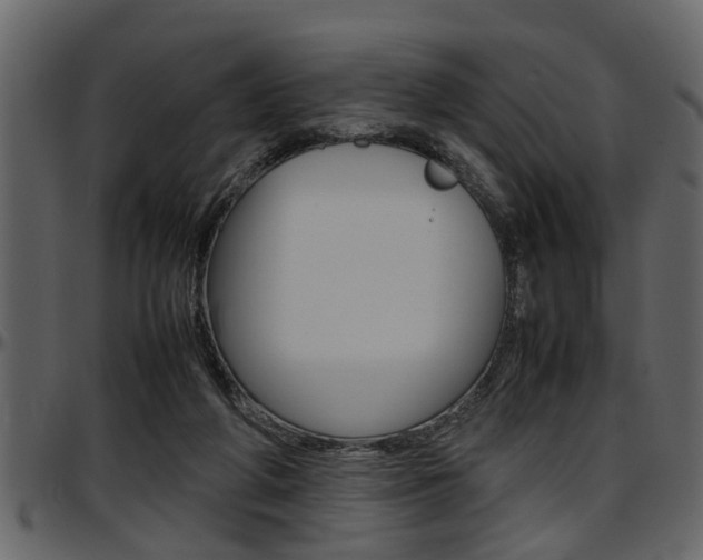 X0000097600210200802290740