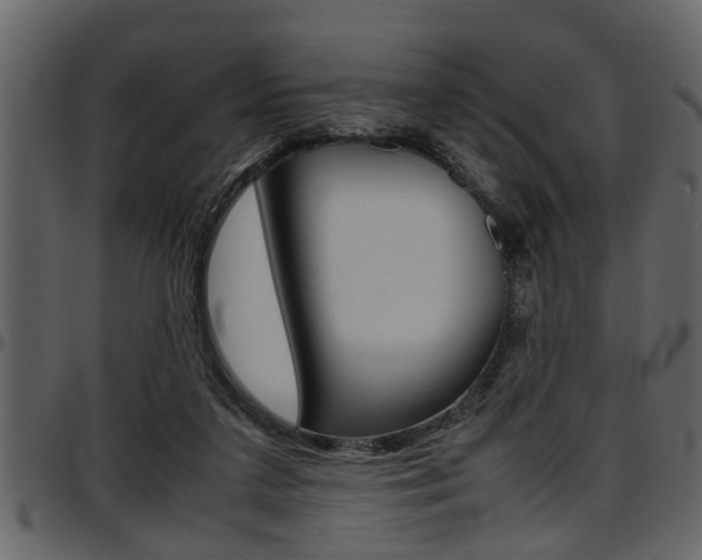 X0000097600211200802290740
