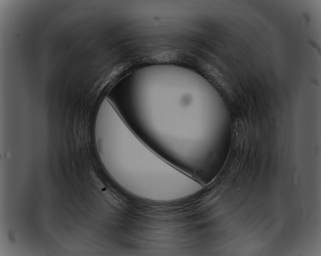 X0000097600212200802290740