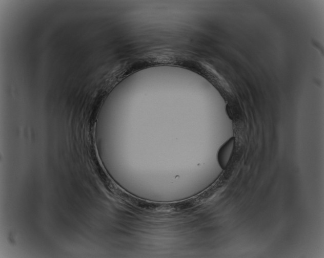 X0000097600213200802290740