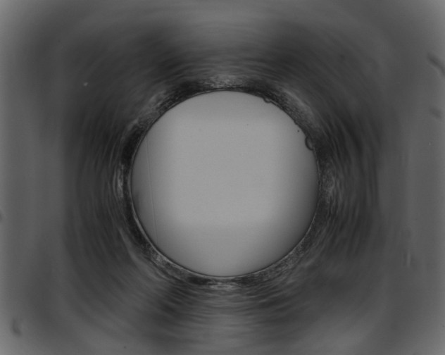 X0000097600214200802290740