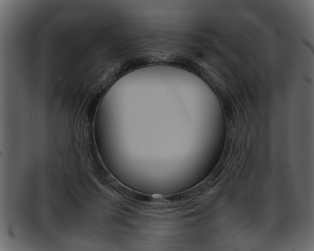 X0000097600215200802290740
