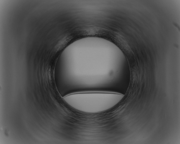 X0000097600216200802290740