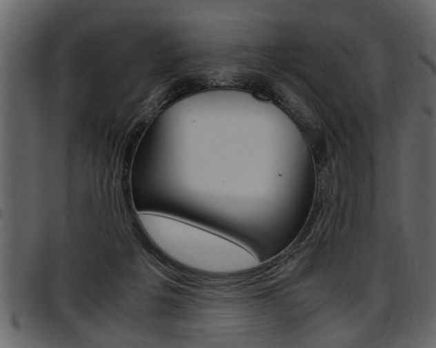 X0000097600217200802290740