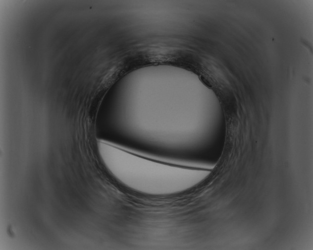 X0000097600219200802290740