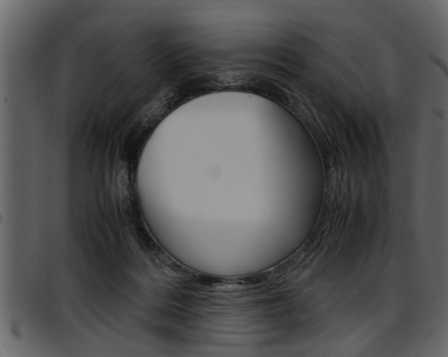 X0000097600220200802290740