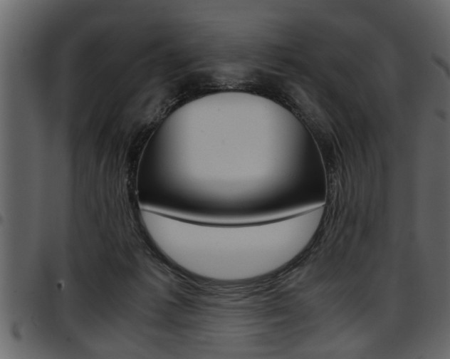 X0000097600221200802290740
