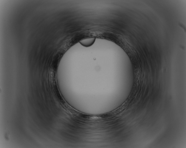 X0000097600222200802290740