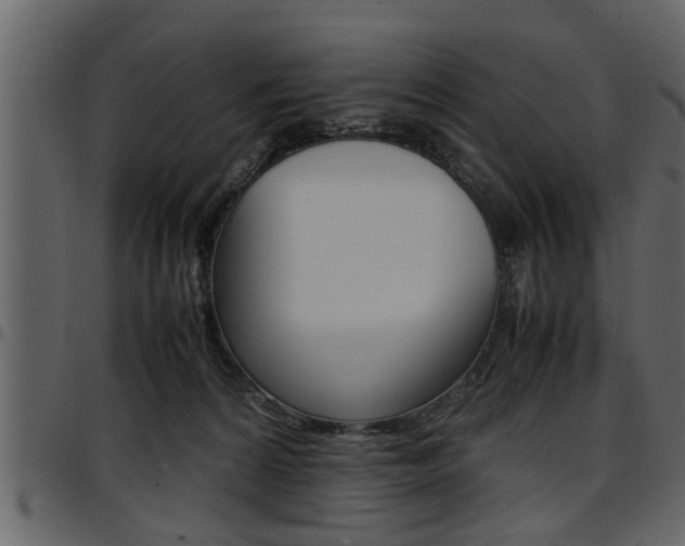 X0000097600224200802290740