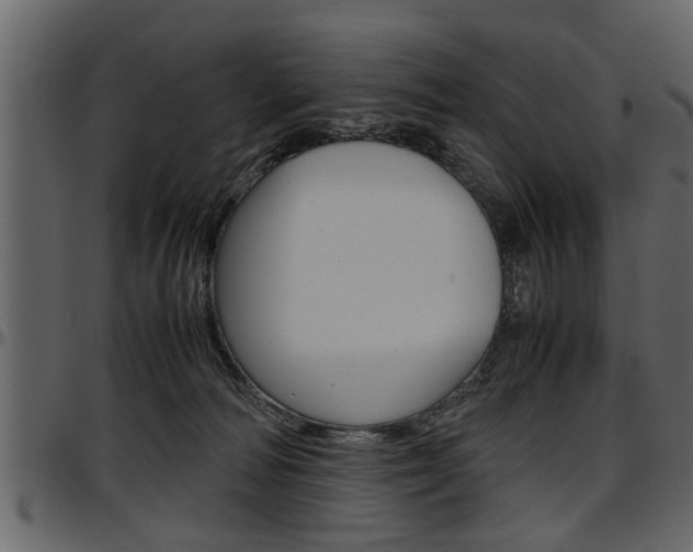 X0000097600226200802290740