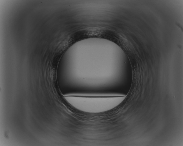 X0000097600227200802290739