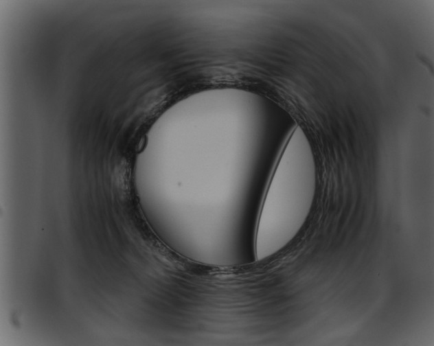 X0000097600228200802290739