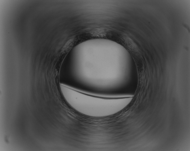 X0000097600229200802290739