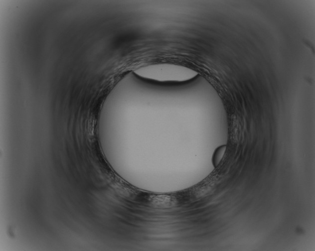 X0000097600230200802290739