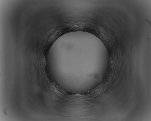 X0000097600231200802290739
